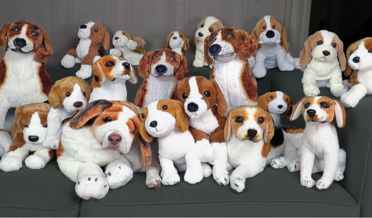 Can you find the real dog?