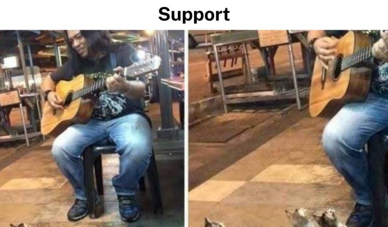 Street Singer Was Ignored By Everyone, Then 4 Kittens Came To Show Their Support