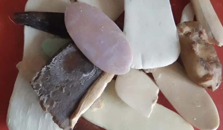 Don’t throw away soap scraps anymore: discover 5 clever ways to recycle them!