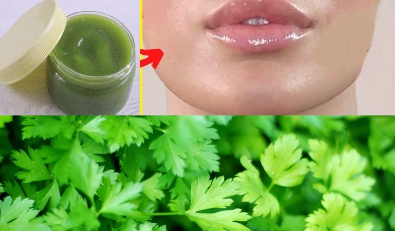 Parsley Is A Natural Collagen Booster for Timeless Beauty