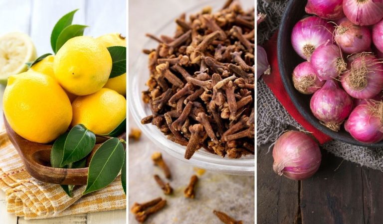 Discover the Powerful Benefits of Clove, Lemon, and Onion: A Natural Combination for Health and Home