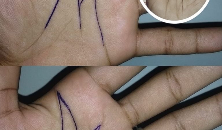 What It Means If You Have the Letter “M” on the Palm of Your Hand – A Fascinating Look into Palmistry